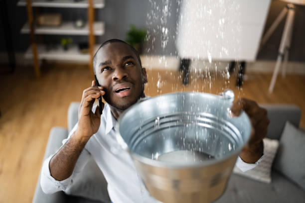 Best Water damage restoration process  in Woodville, MS