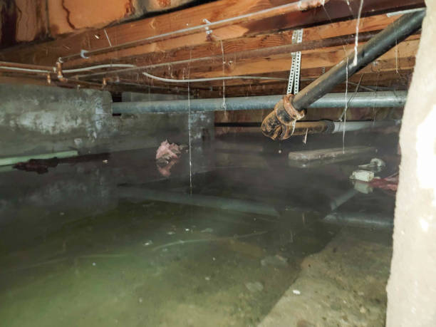 Best Residential water damage restoration  in Woodville, MS