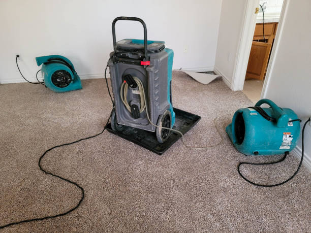 Best Commercial water damage restoration  in Woodville, MS