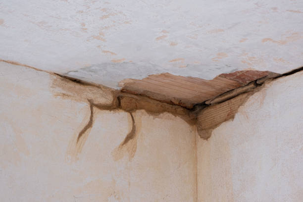 Best Residential water damage restoration  in Woodville, MS