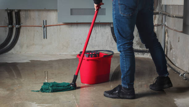 Best Ceiling water damage repair  in Woodville, MS