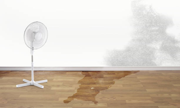 Best Fire Damage Restoration  in Woodville, MS