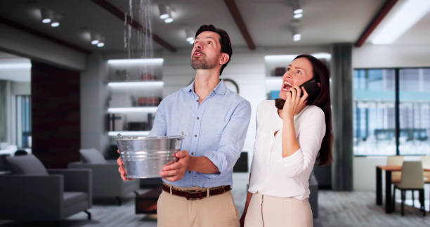 Best Water damage contractors near me  in Woodville, MS